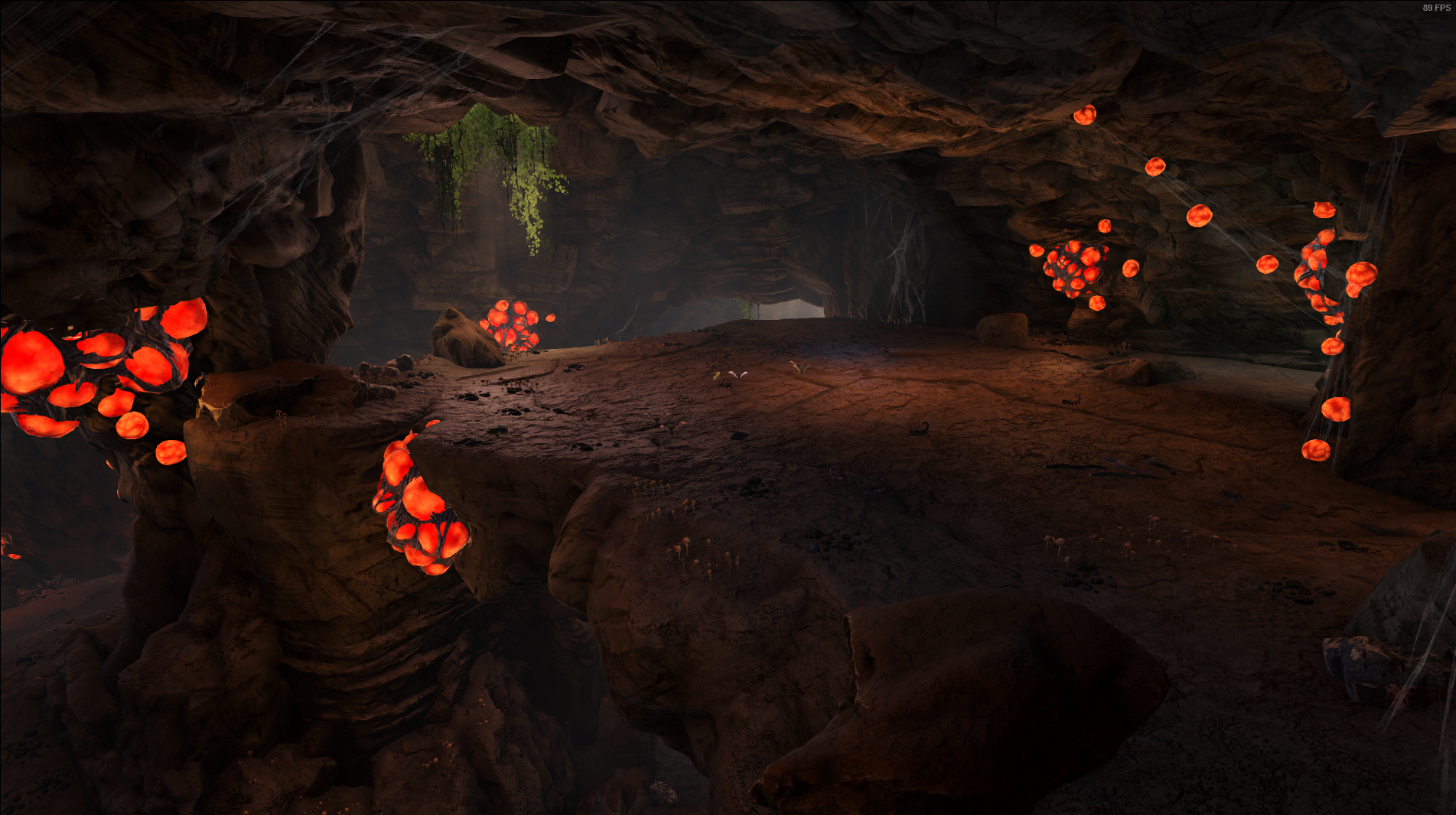 SPIDER CAVE - Image 2