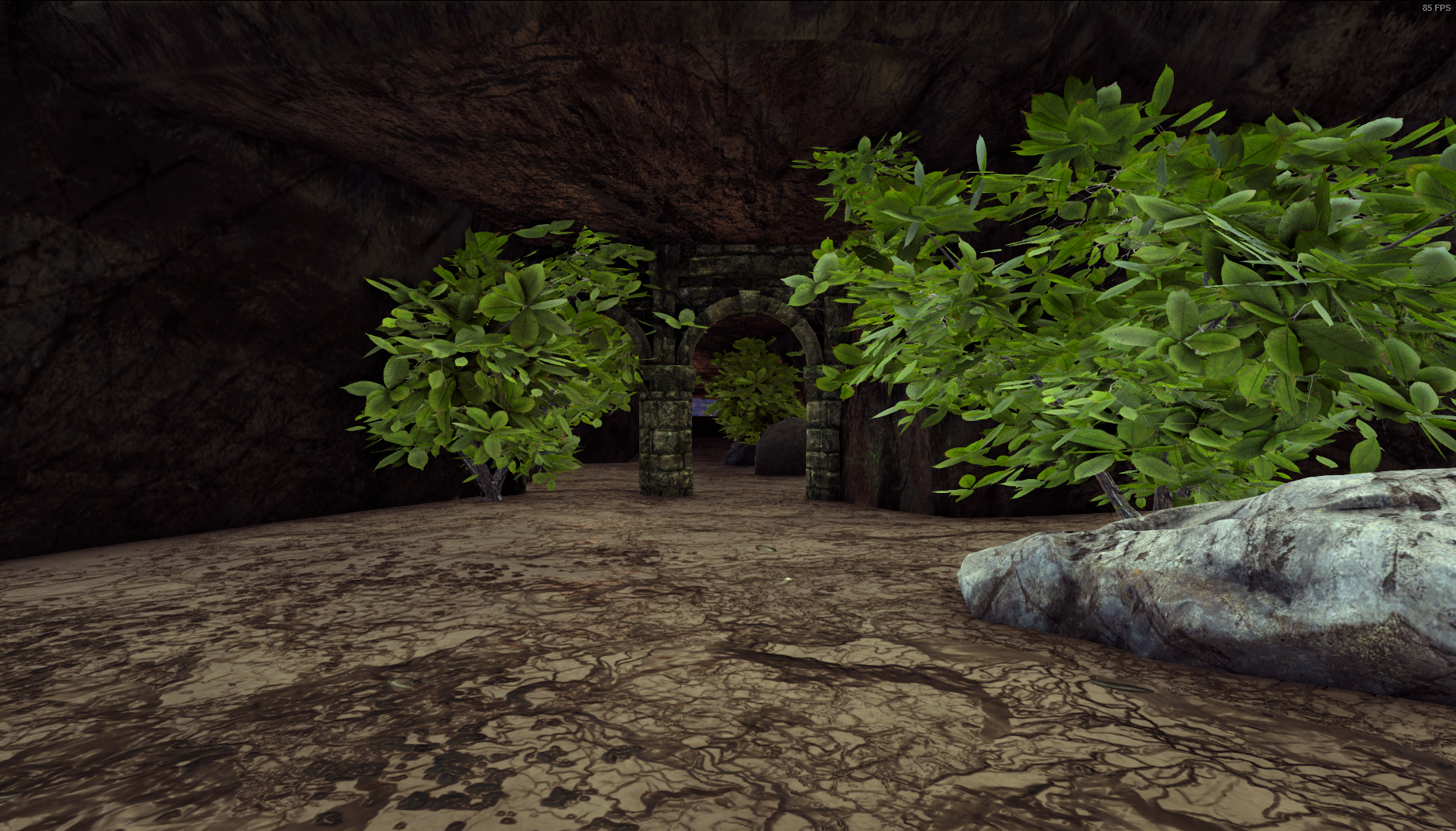 REDWOOD CAVE - Image 2